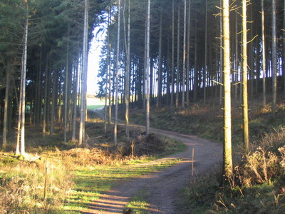 Haus Walburga Waxweiler